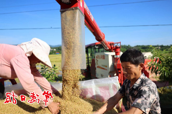 澳门新葡新京在线