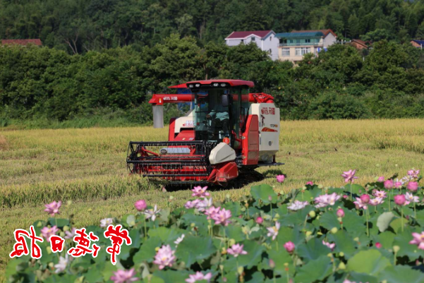 澳门新葡新京在线