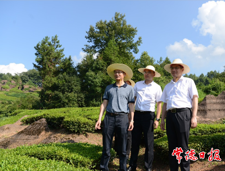 澳门新葡新京在线