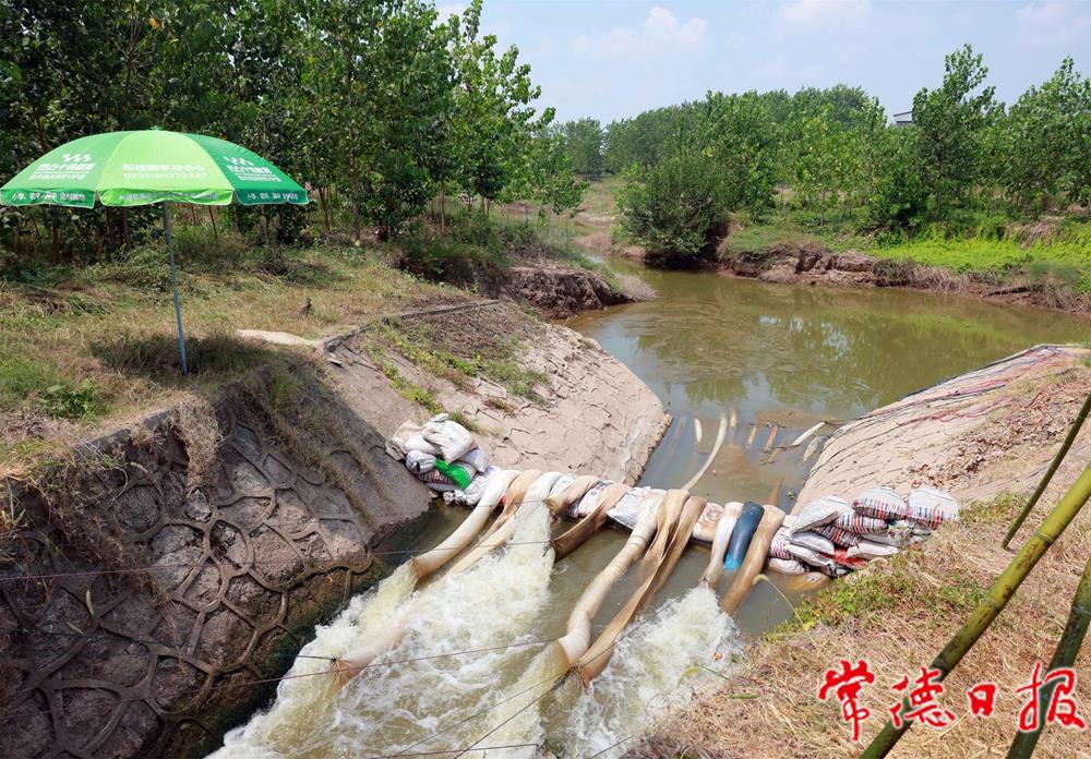 澳门新葡新京在线