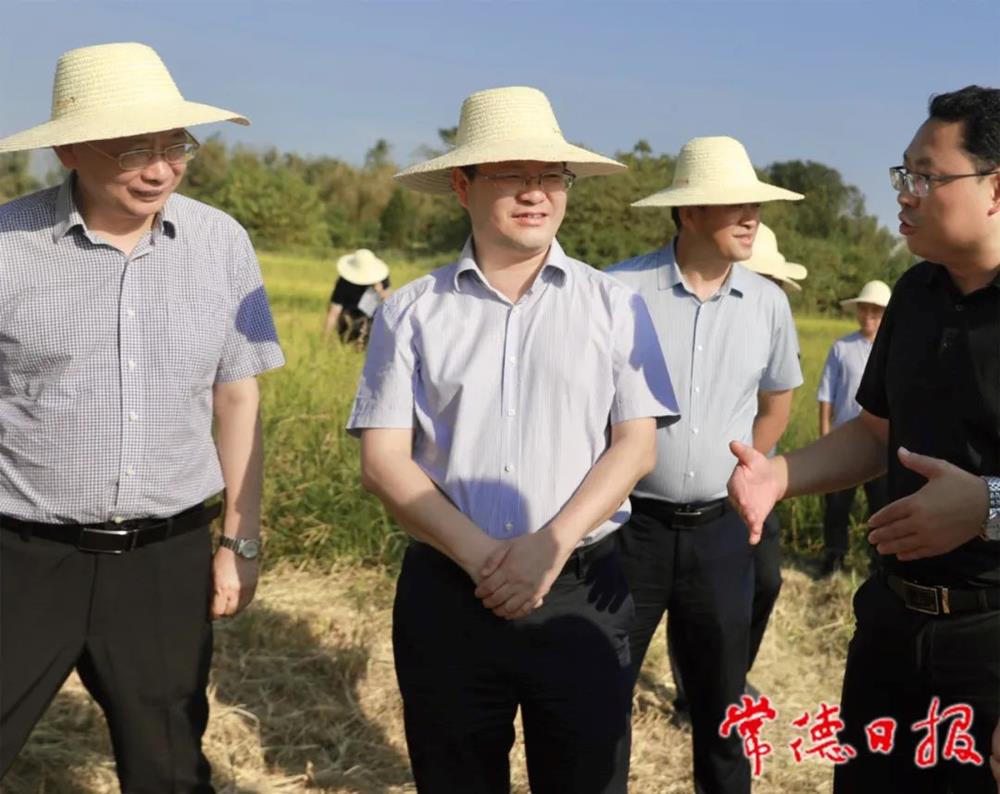 澳门新葡新京在线