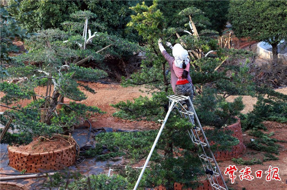 澳门新葡新京在线