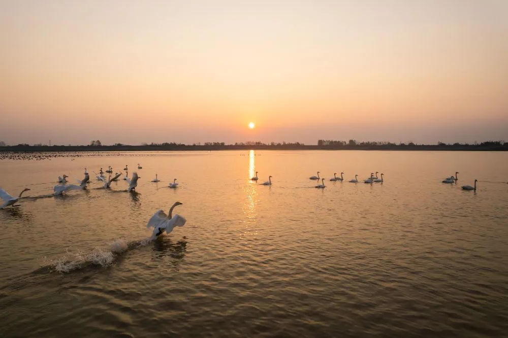 澳门新葡新京在线