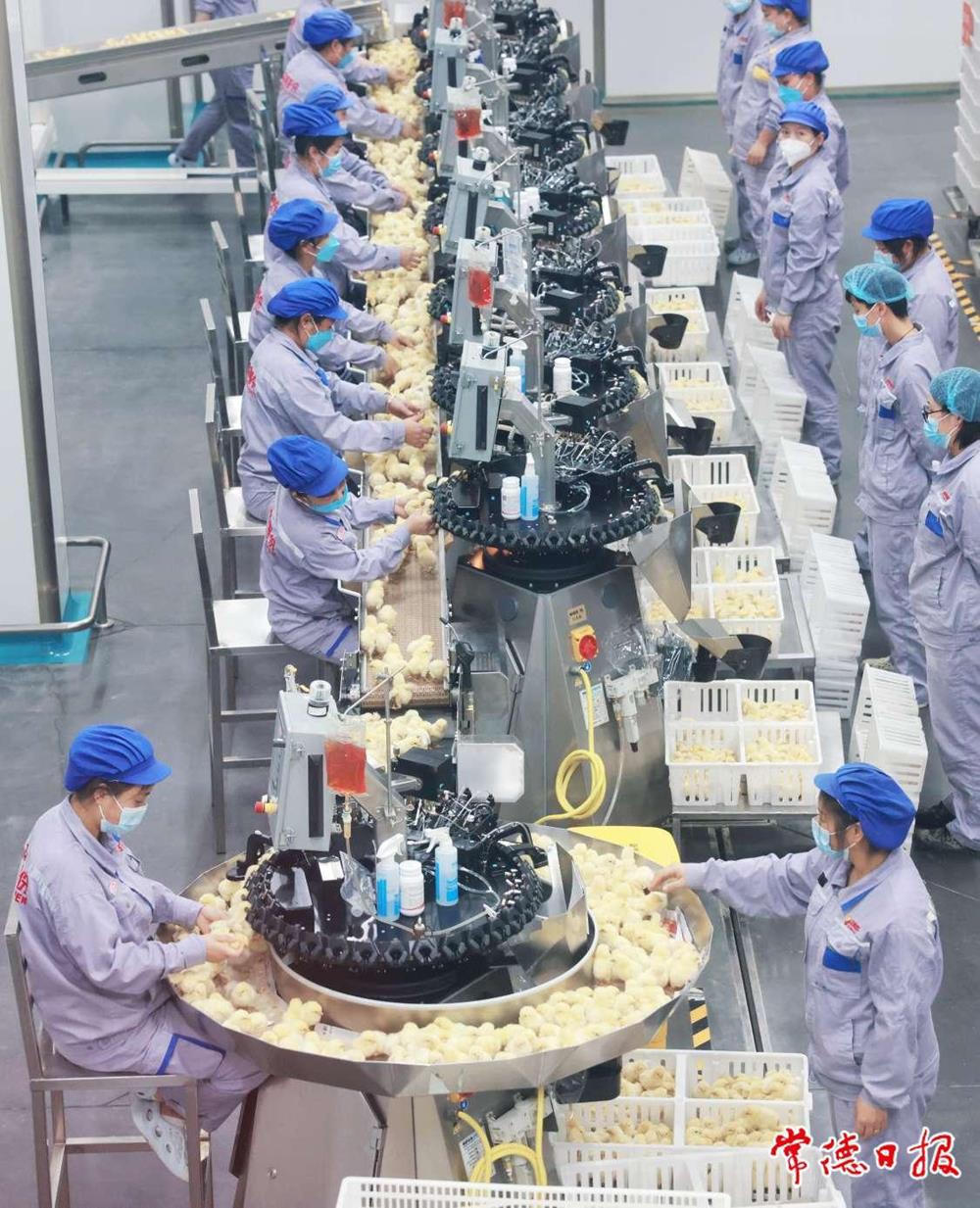 澳门新葡新京在线