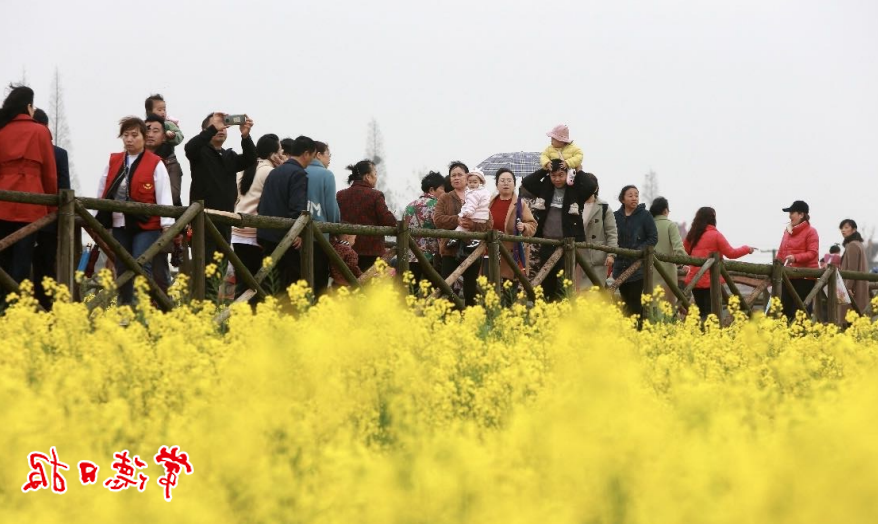 澳门新葡新京在线