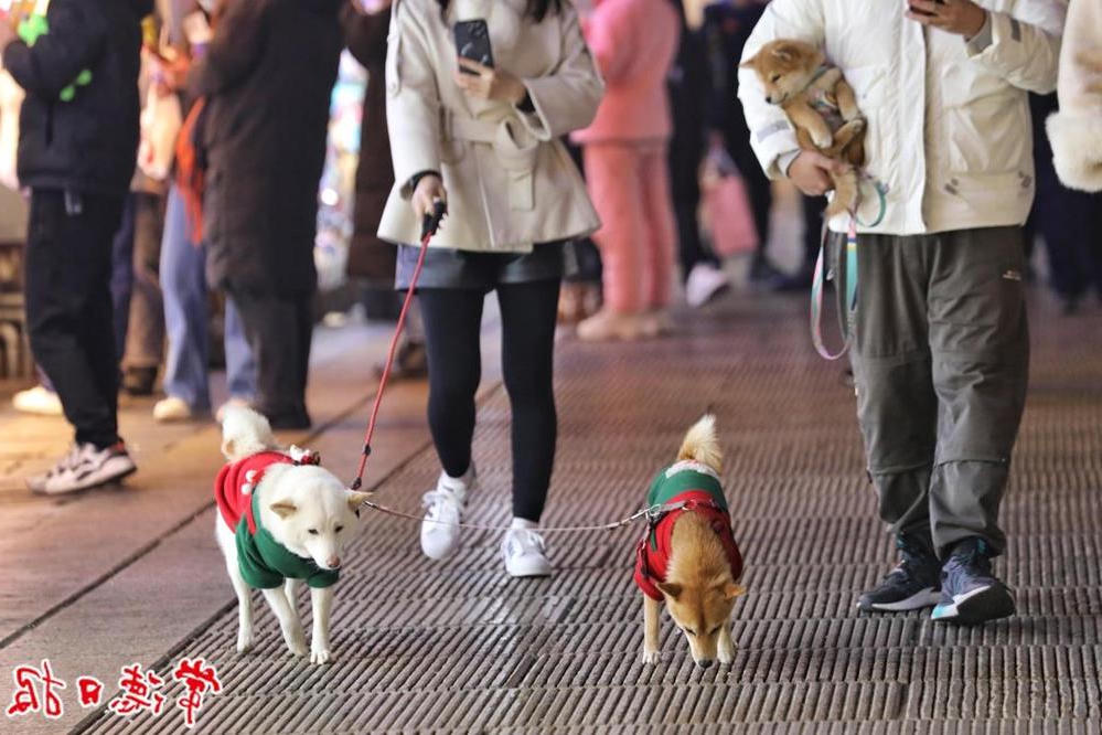 澳门新葡新京在线