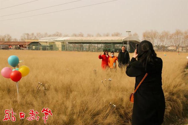 澳门新葡新京在线