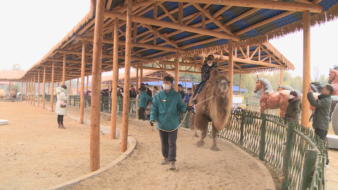 澳门新葡新京在线