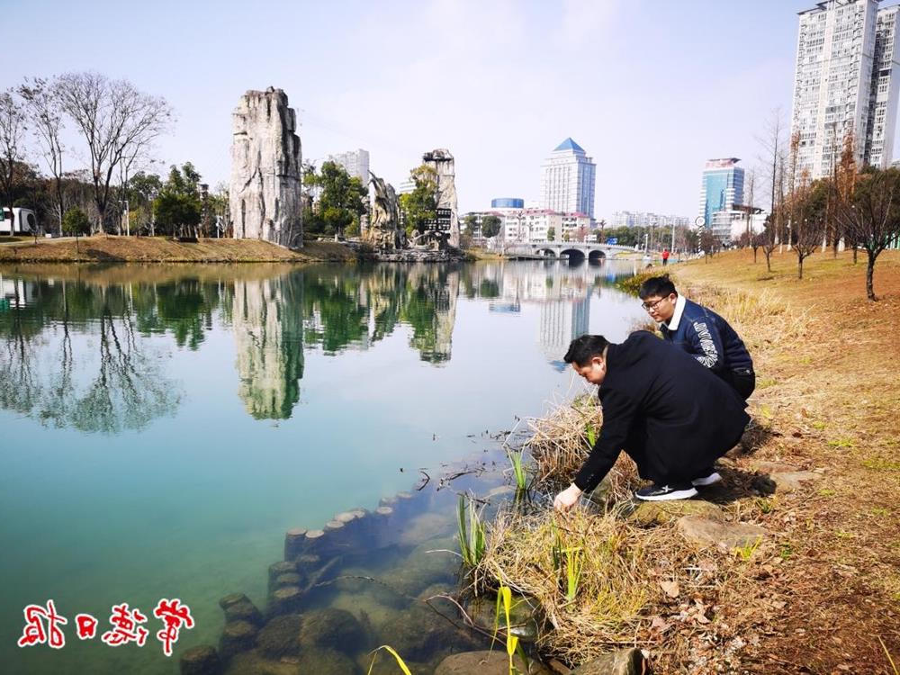澳门新葡新京在线