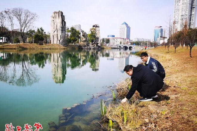 澳门新葡新京在线