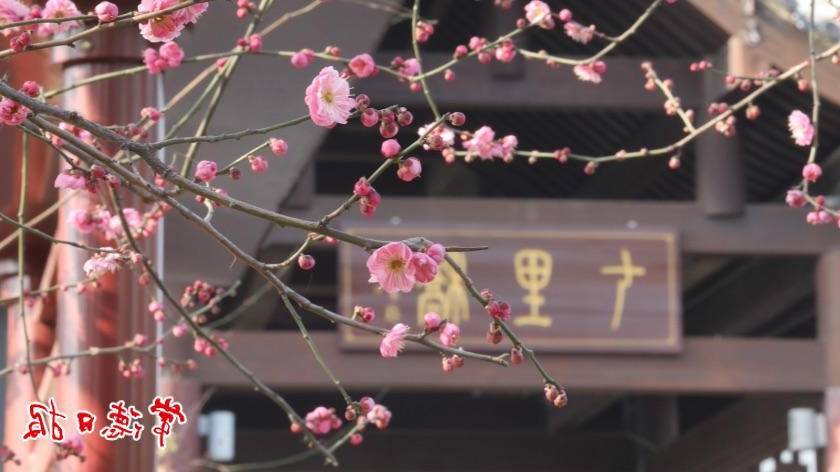 澳门新葡新京在线