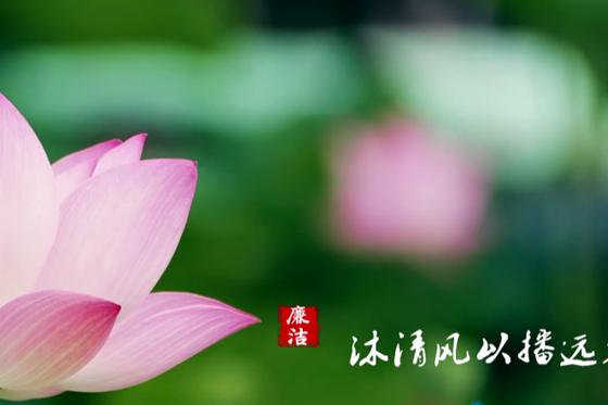 澳门新葡新京在线