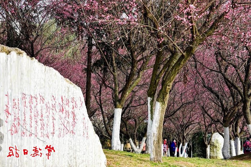 澳门新葡新京在线