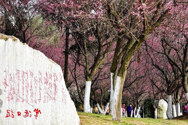 澳门新葡新京在线