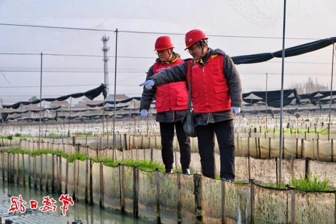 澳门新葡新京在线