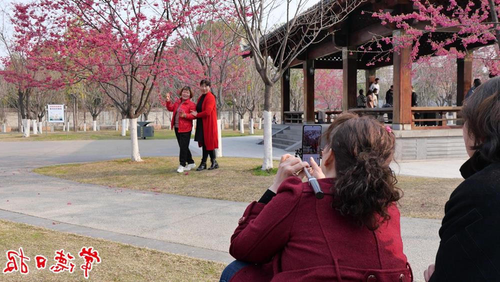 澳门新葡新京在线