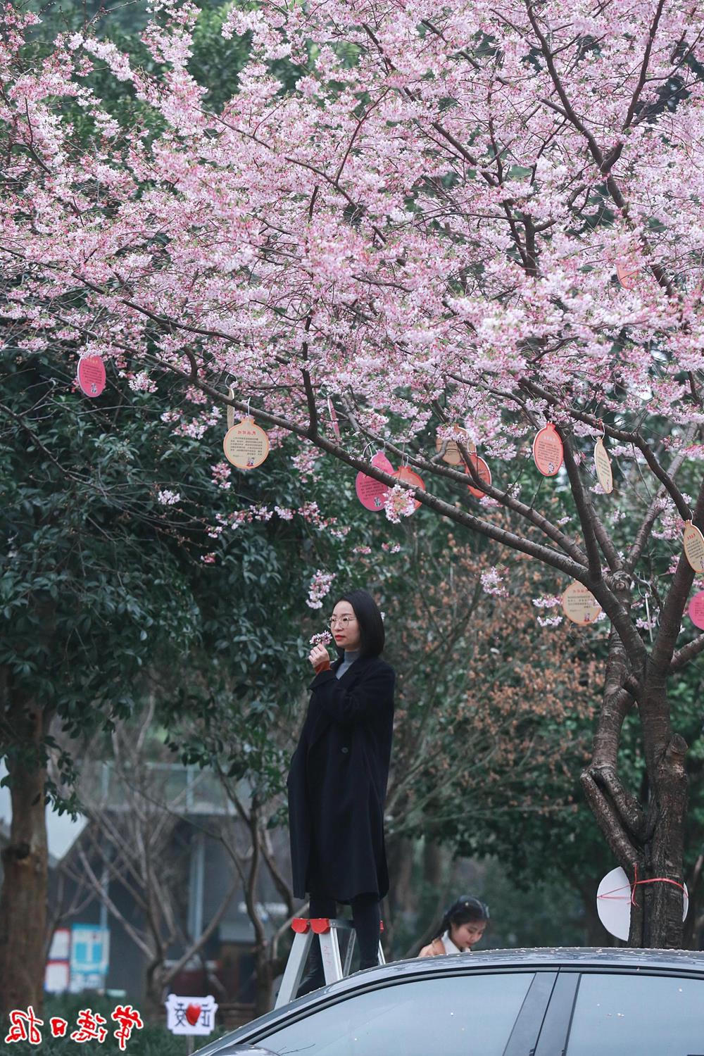 澳门新葡新京在线