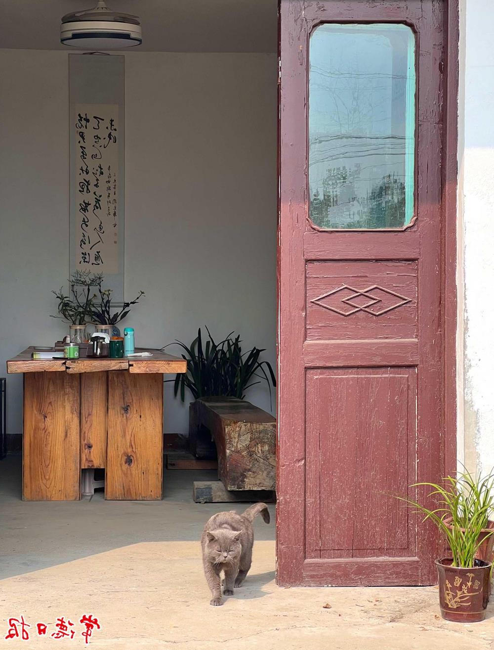 澳门新葡新京在线