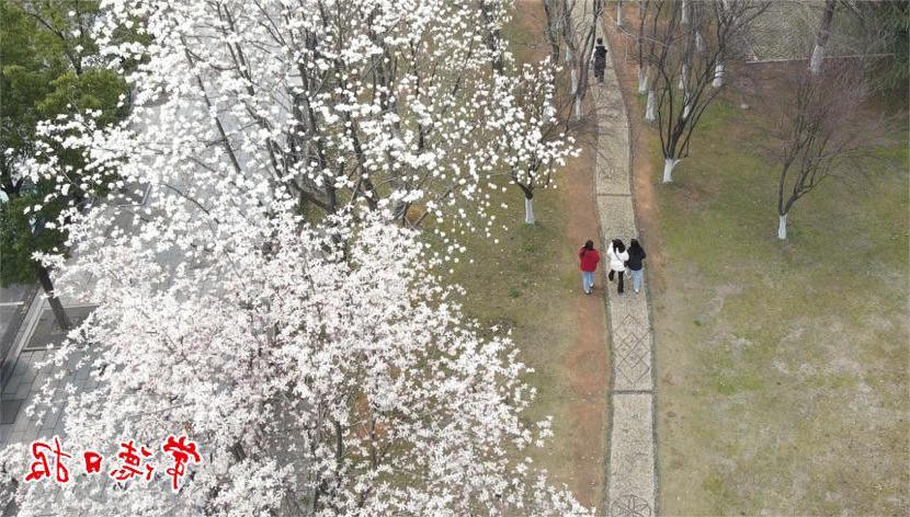 澳门新葡新京在线
