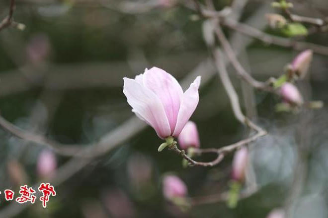 澳门新葡新京在线