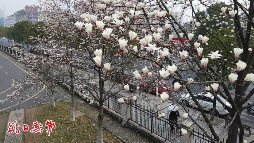 澳门新葡新京在线