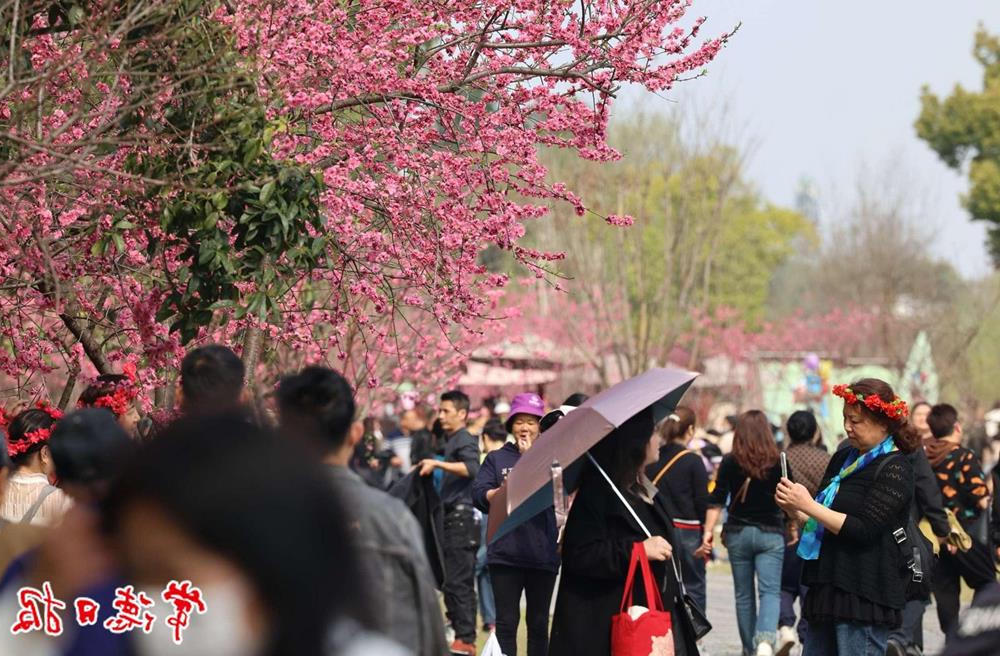澳门新葡新京在线