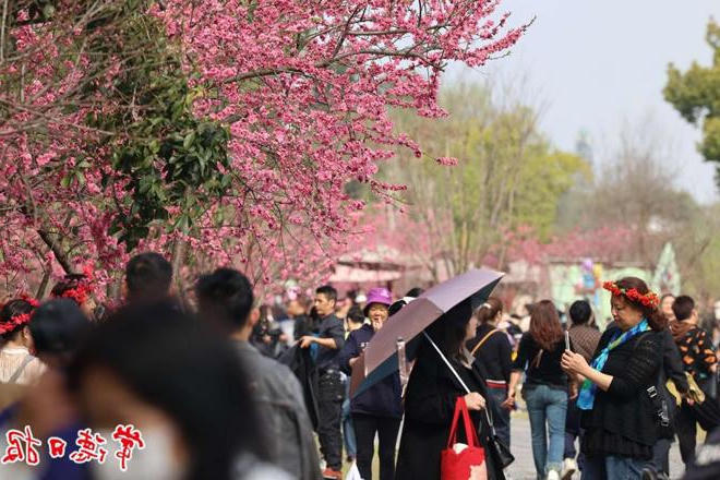 澳门新葡新京在线