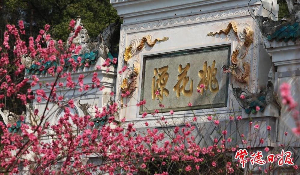 澳门新葡新京在线