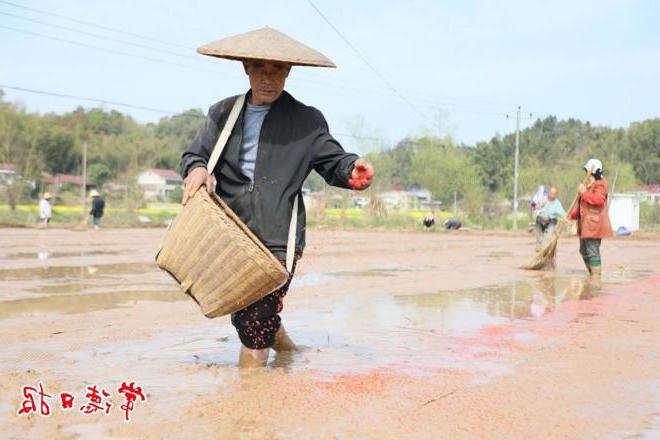 澳门新葡新京在线