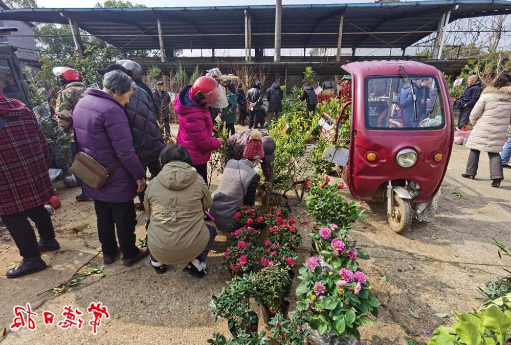 澳门新葡新京在线
