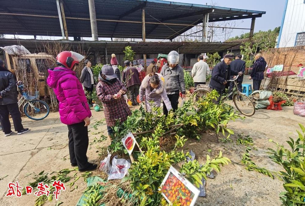 澳门新葡新京在线