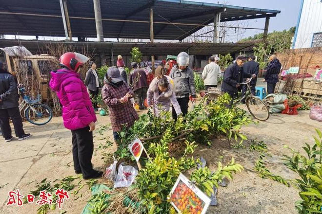 澳门新葡新京在线