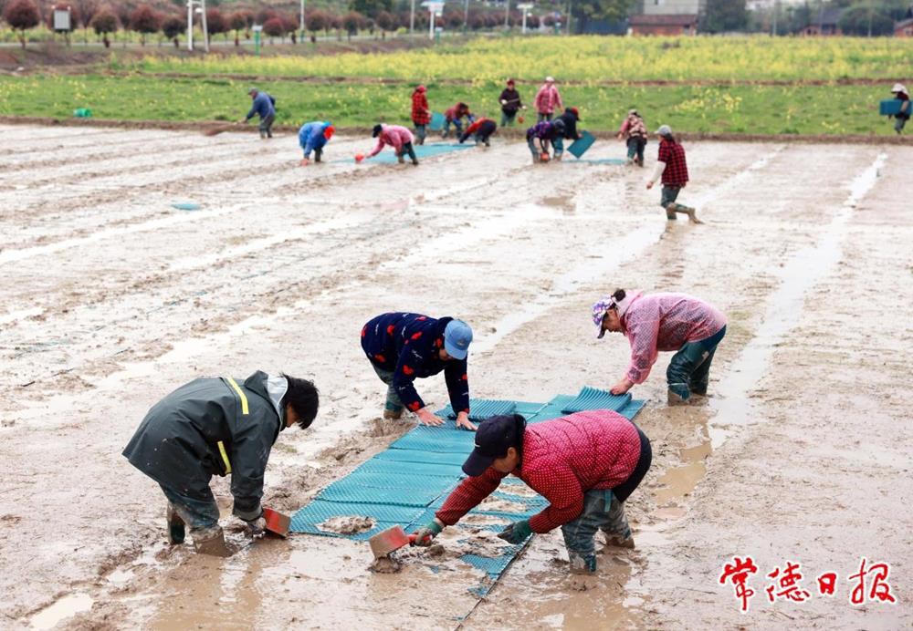 澳门新葡新京在线