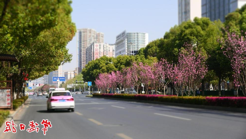 澳门新葡新京在线