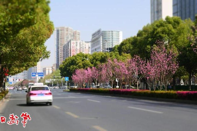 澳门新葡新京在线