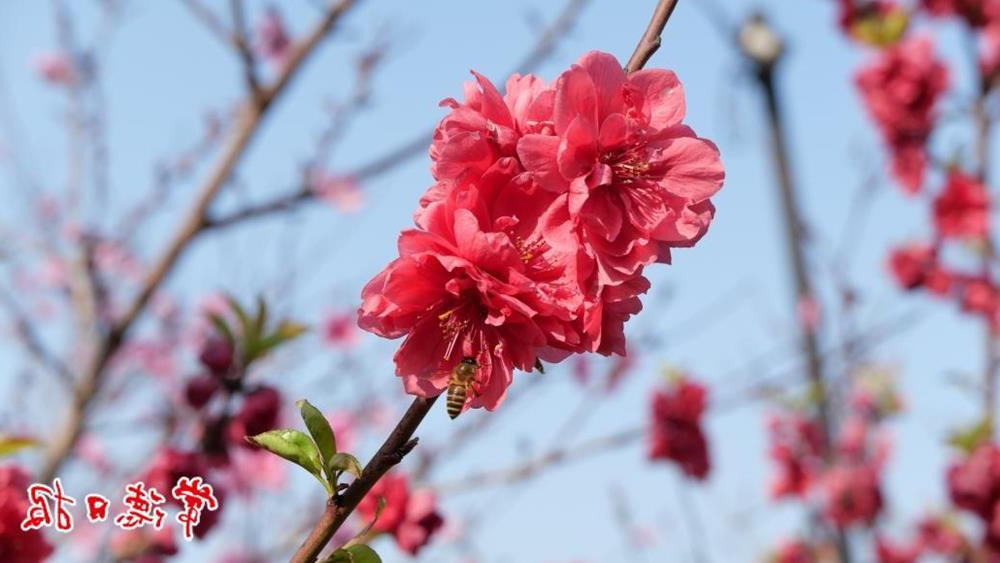澳门新葡新京在线