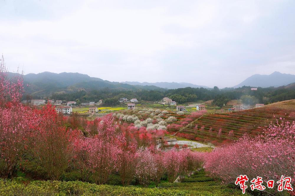 澳门新葡新京在线