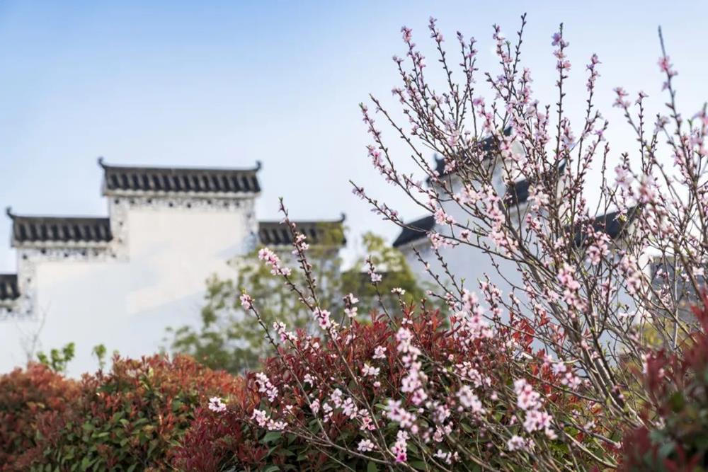 澳门新葡新京在线