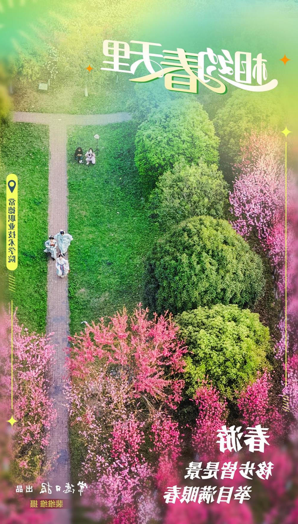 澳门新葡新京在线