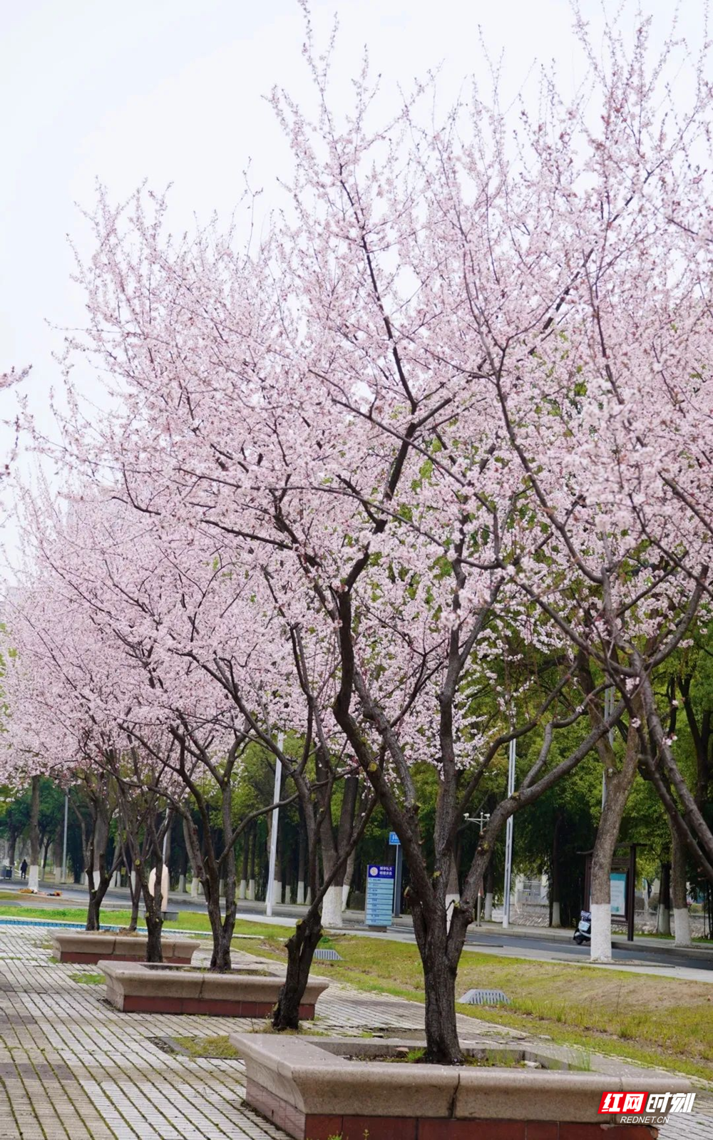澳门新葡新京在线
