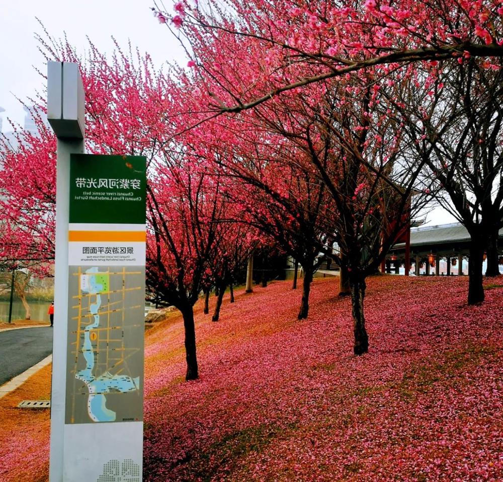 澳门新葡新京在线
