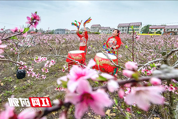 澳门新葡新京在线