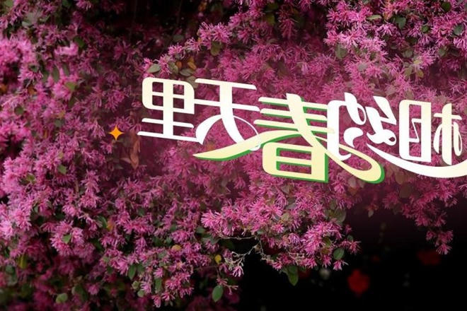 澳门新葡新京在线
