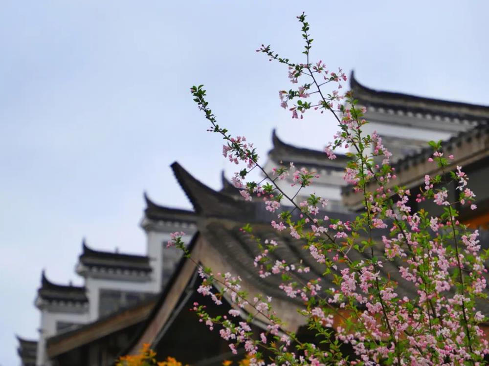 澳门新葡新京在线