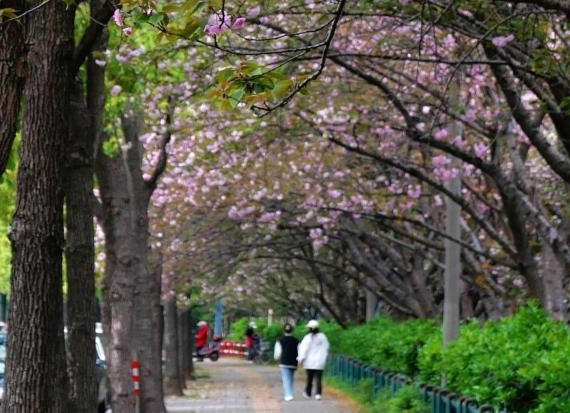 澳门新葡新京在线