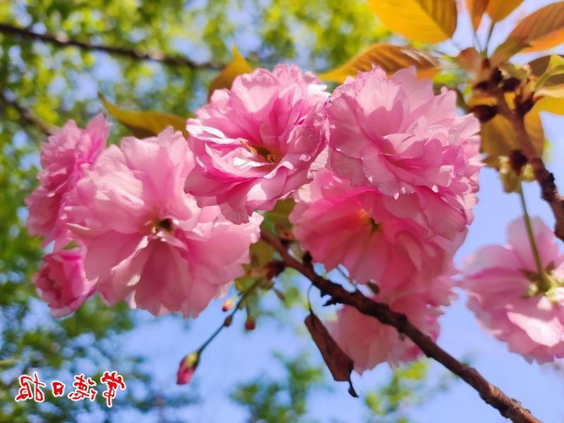 澳门新葡新京在线