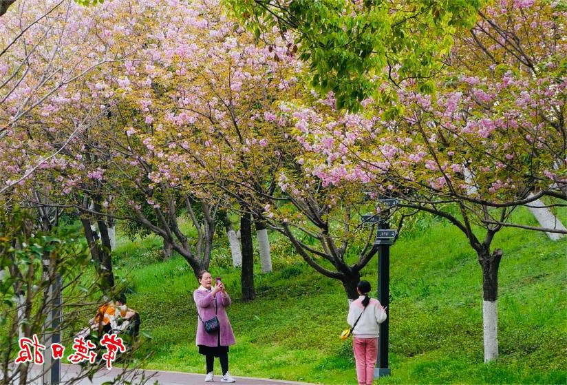 澳门新葡新京在线