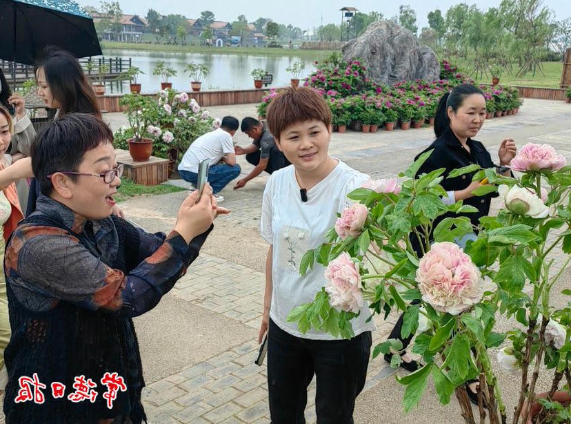 澳门新葡新京在线
