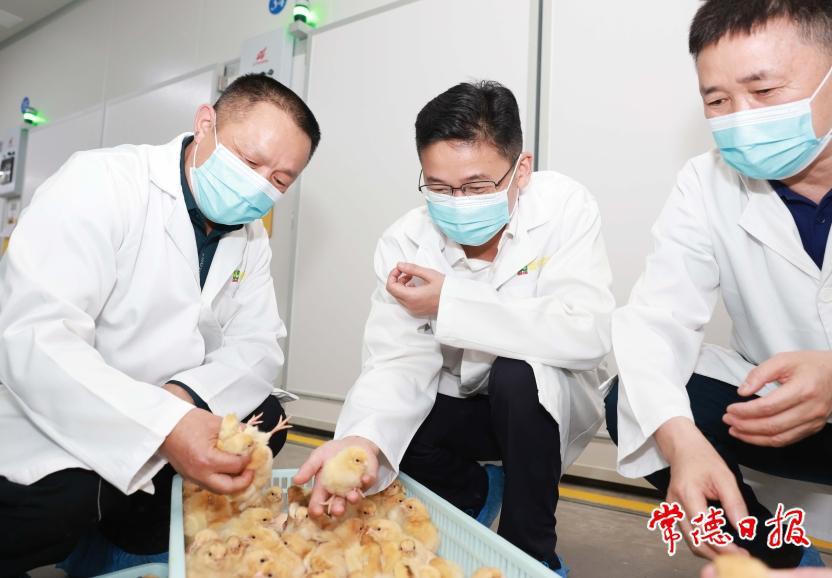 澳门新葡新京在线