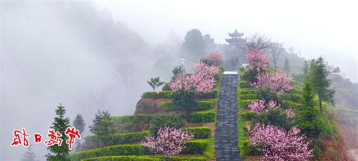 澳门新葡新京在线